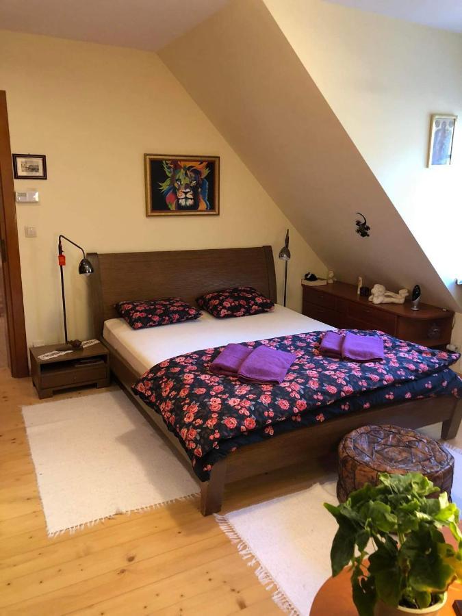 Bed and Breakfast Willa Nad Popradem Piwniczna-Zdroj Exteriér fotografie