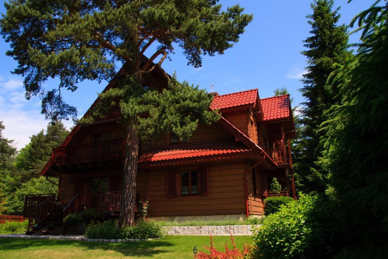 Bed and Breakfast Willa Nad Popradem Piwniczna-Zdroj Exteriér fotografie